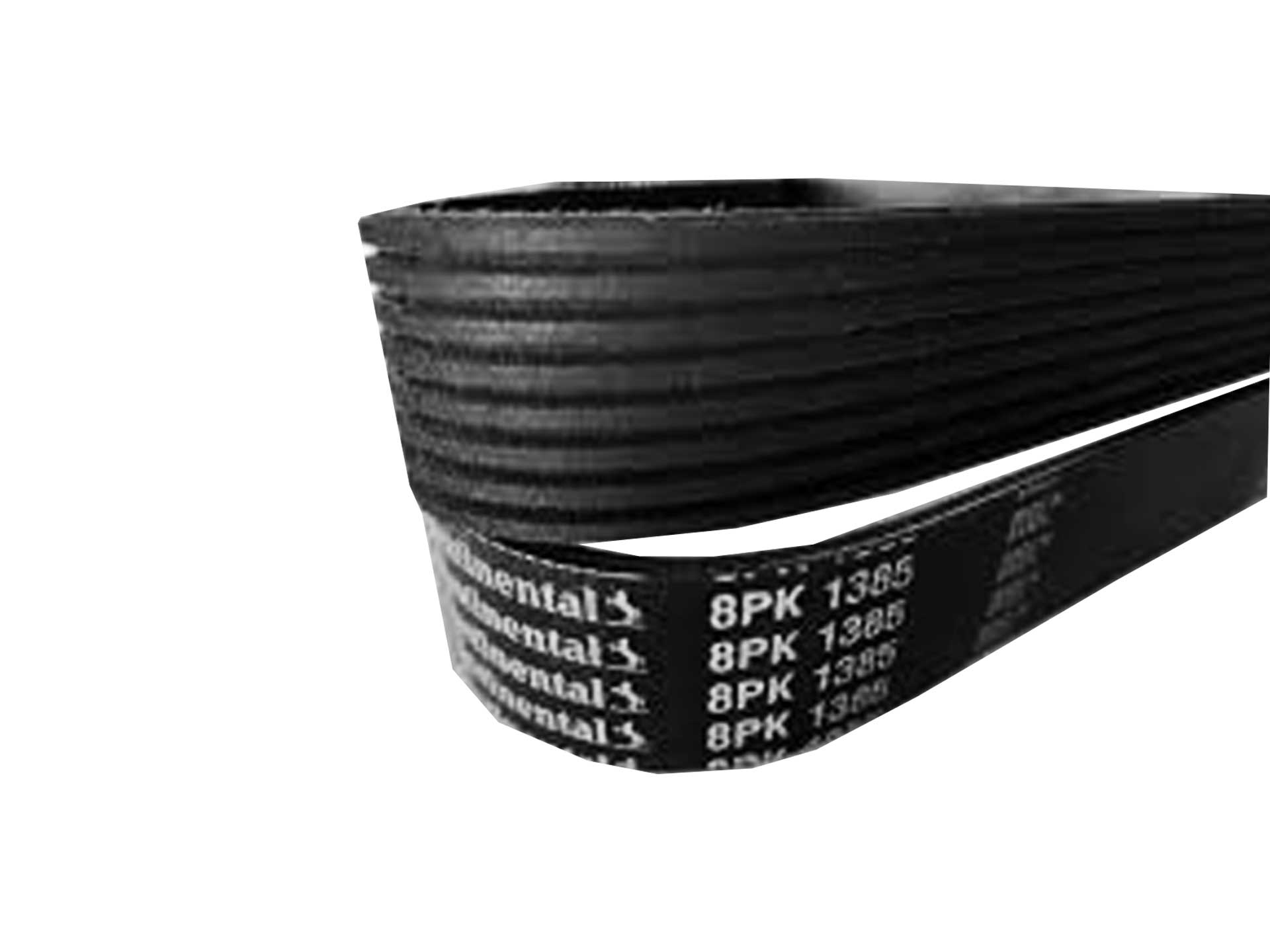 Correia Poly V 8PK